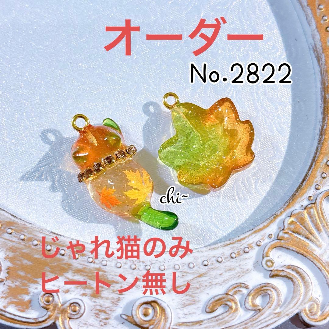 7/17までNO.2813☆失われた野生ねこ 秋 ハンドメイド パーツ チャーム