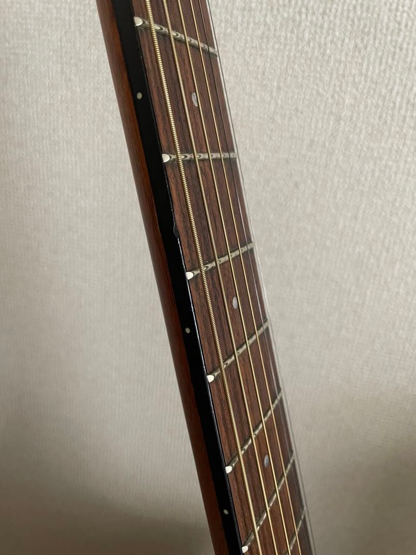 Breedlove Passport C25CE FS｜ワンオーナー｜エレアコ