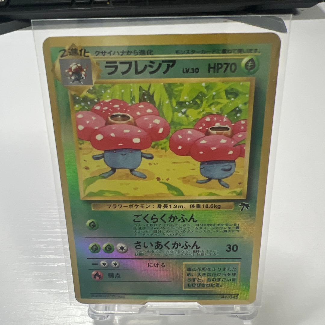 【最終値下げ】サザンアイランド ポケモンカードセット　セミコンプリート
