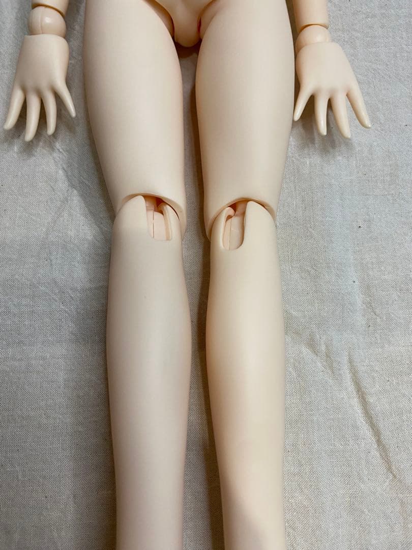 本体のみ