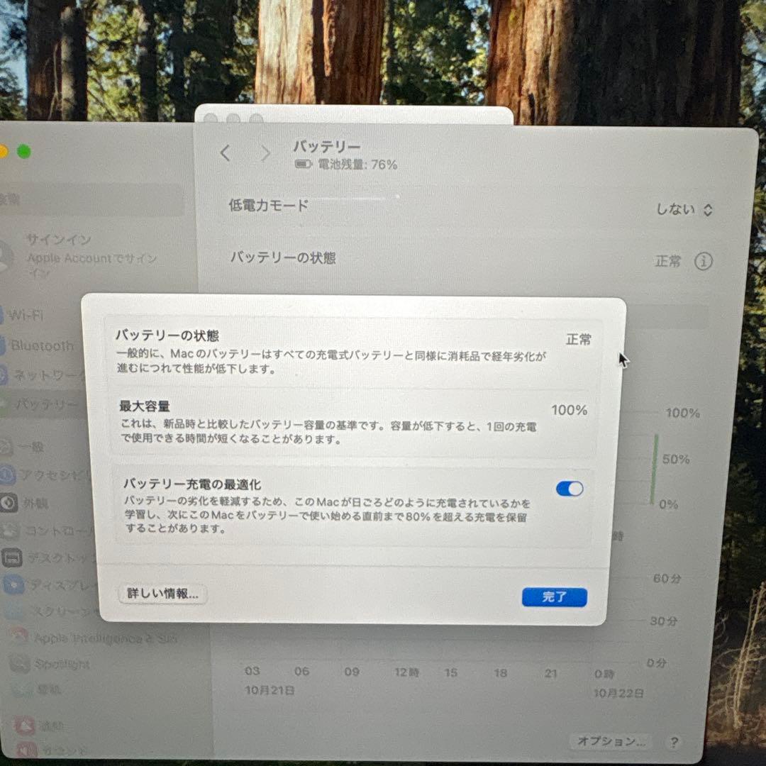い*ま様 【本日のみ出品】MacBook Air M4メモリ24GB 2025モ