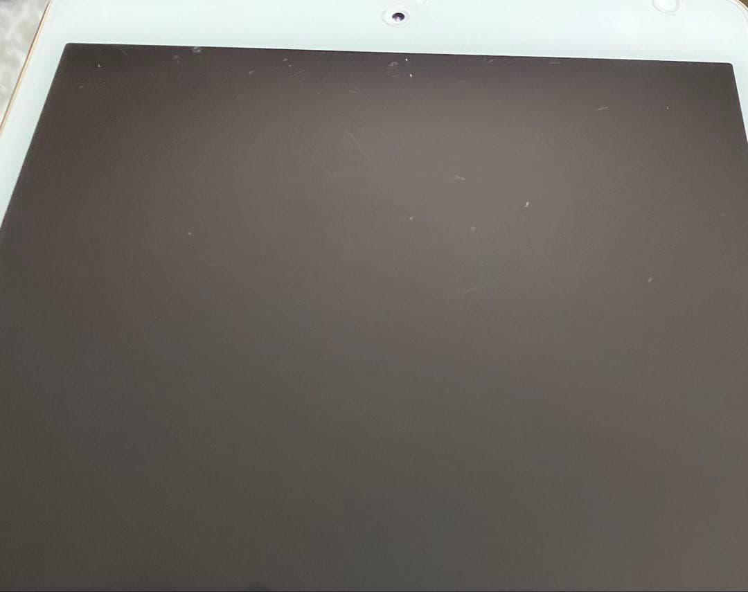 【早い者勝ち】iPad mini4 128GB 【すぐ発送】【付属品】