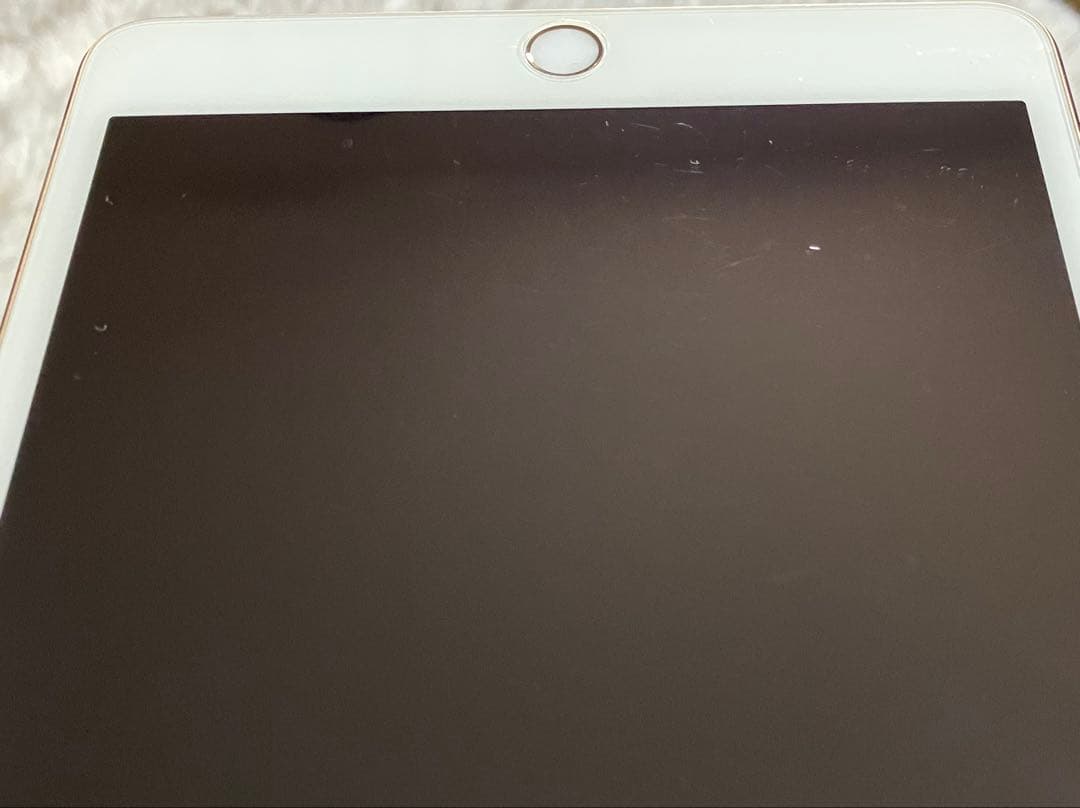 【早い者勝ち】iPad mini4 128GB 【すぐ発送】【付属品】