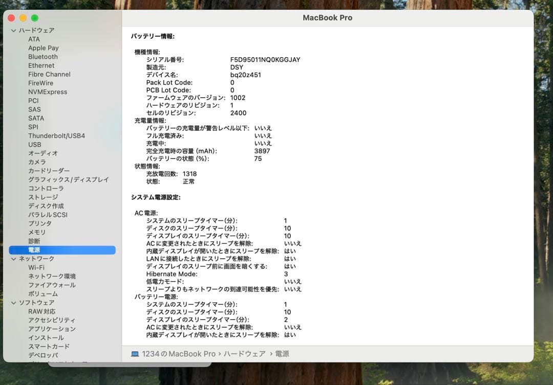 MacBook本体 Apple MacBook Pro 13 2019 i5/16GB/250GB
