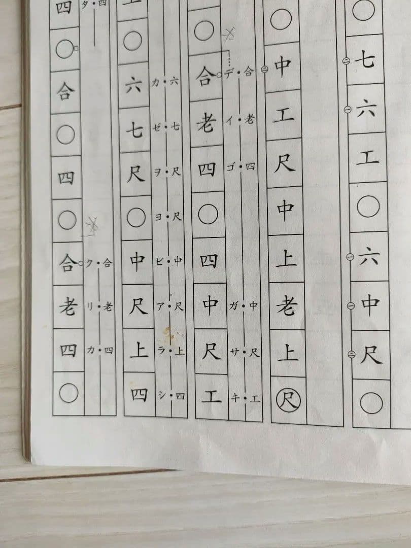 三線(両面蛇皮）　ケース付き