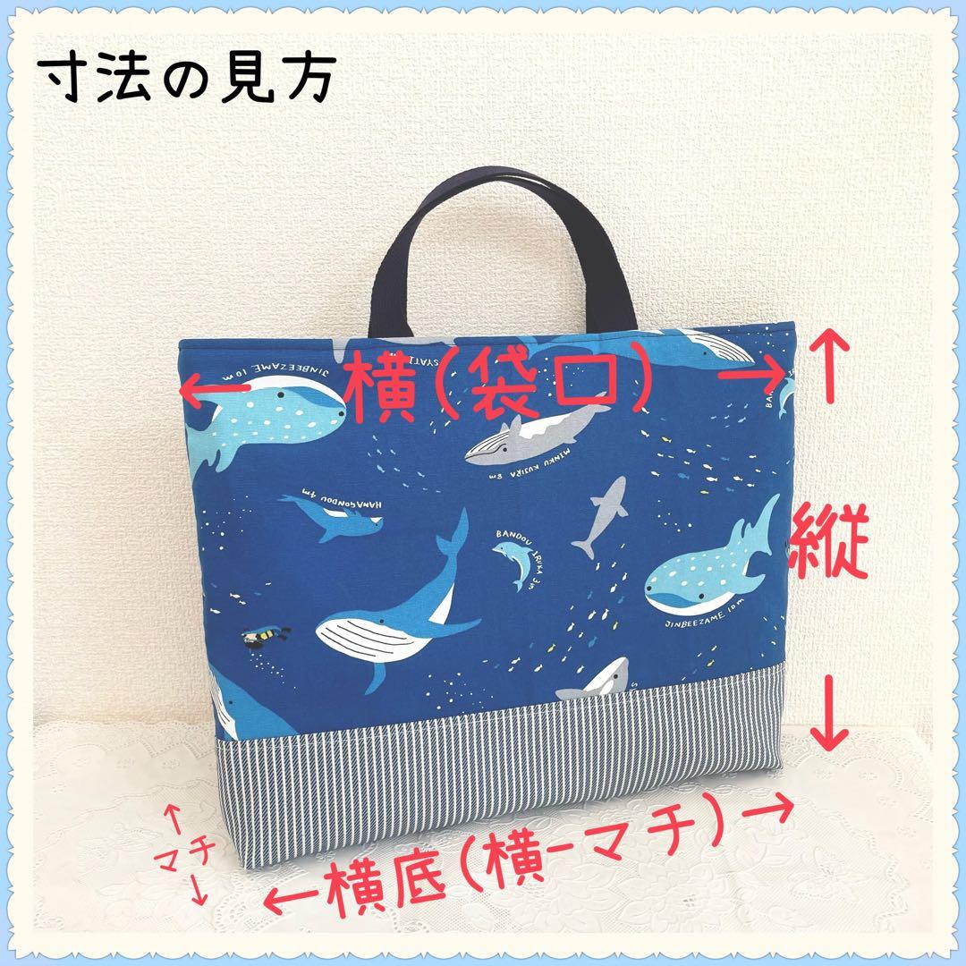 conyページ　レッスンバッグ　等計3点　《水族館　海　魚　生き物》男の子
