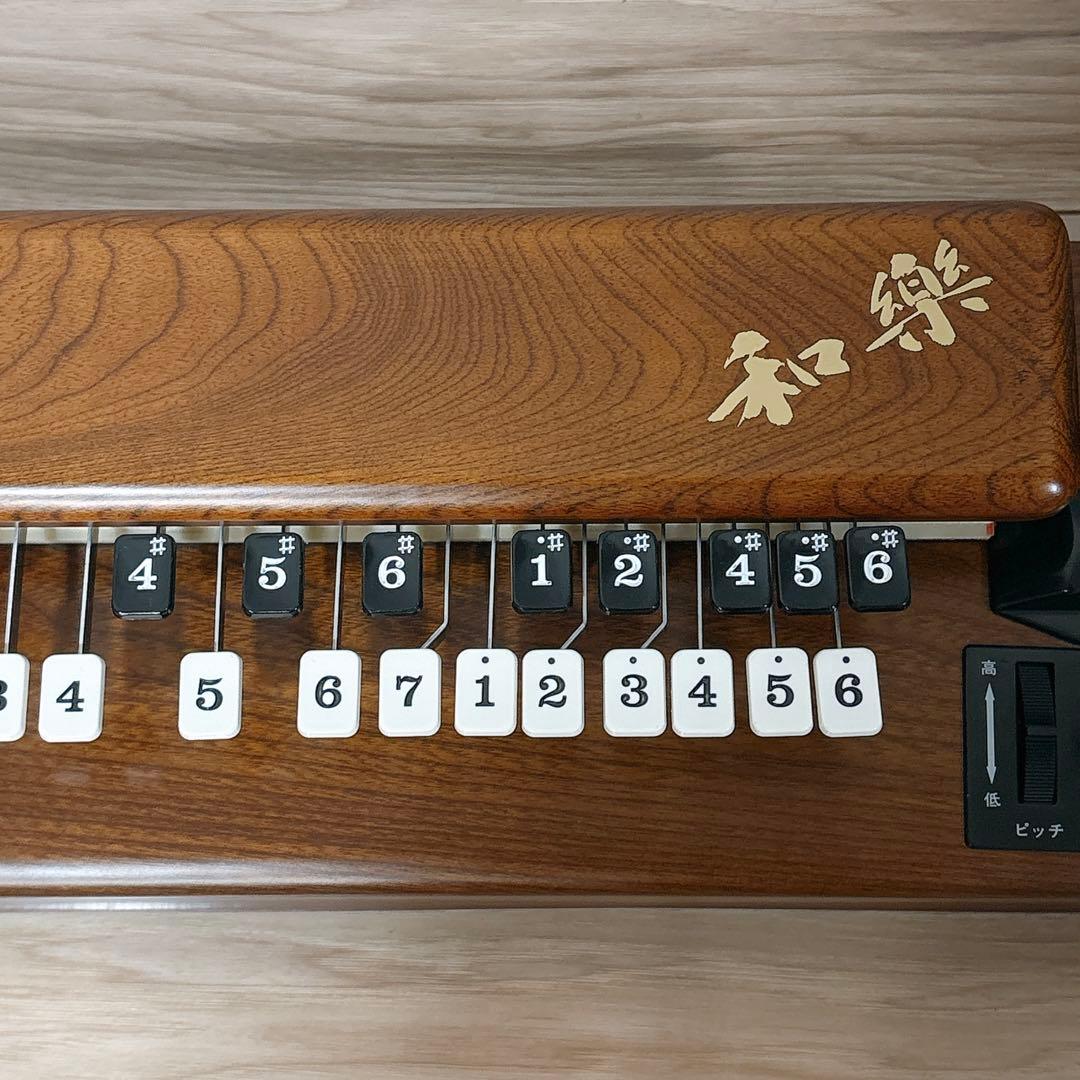 ✨良品✨ SUZUKI TES-100 電気大正琴 ハードケース付き 正常動作品