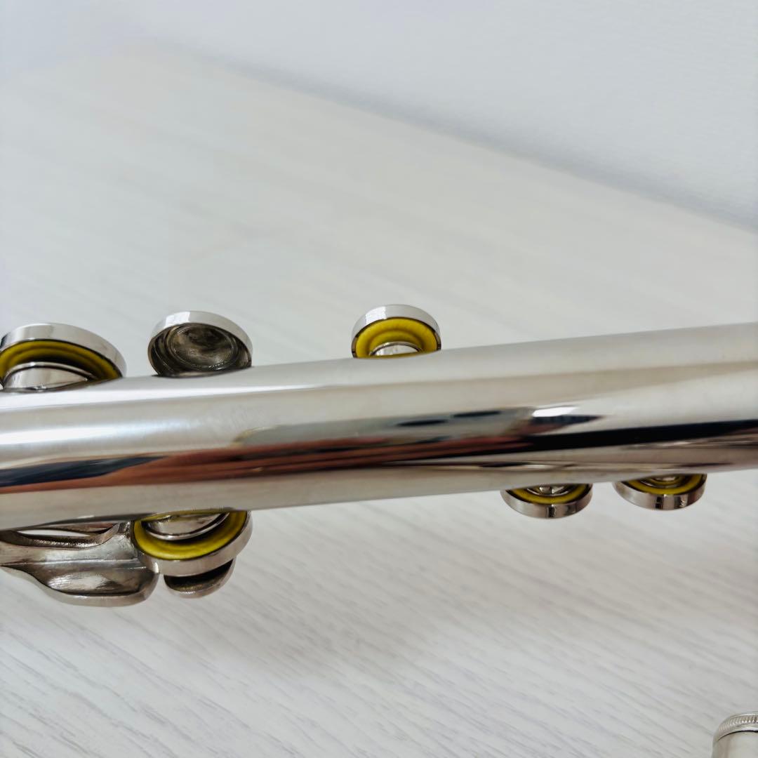 BQKOZFIN フルート 16穴 木管楽器 Cキー 初心者 Eメカ付き
