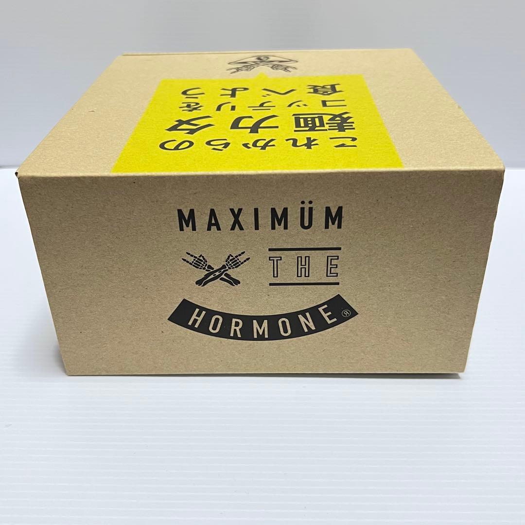 【新品未使用】マキシマムザホルモン 丼 ヴィレヴァンコラボ限定商品【箱付き】