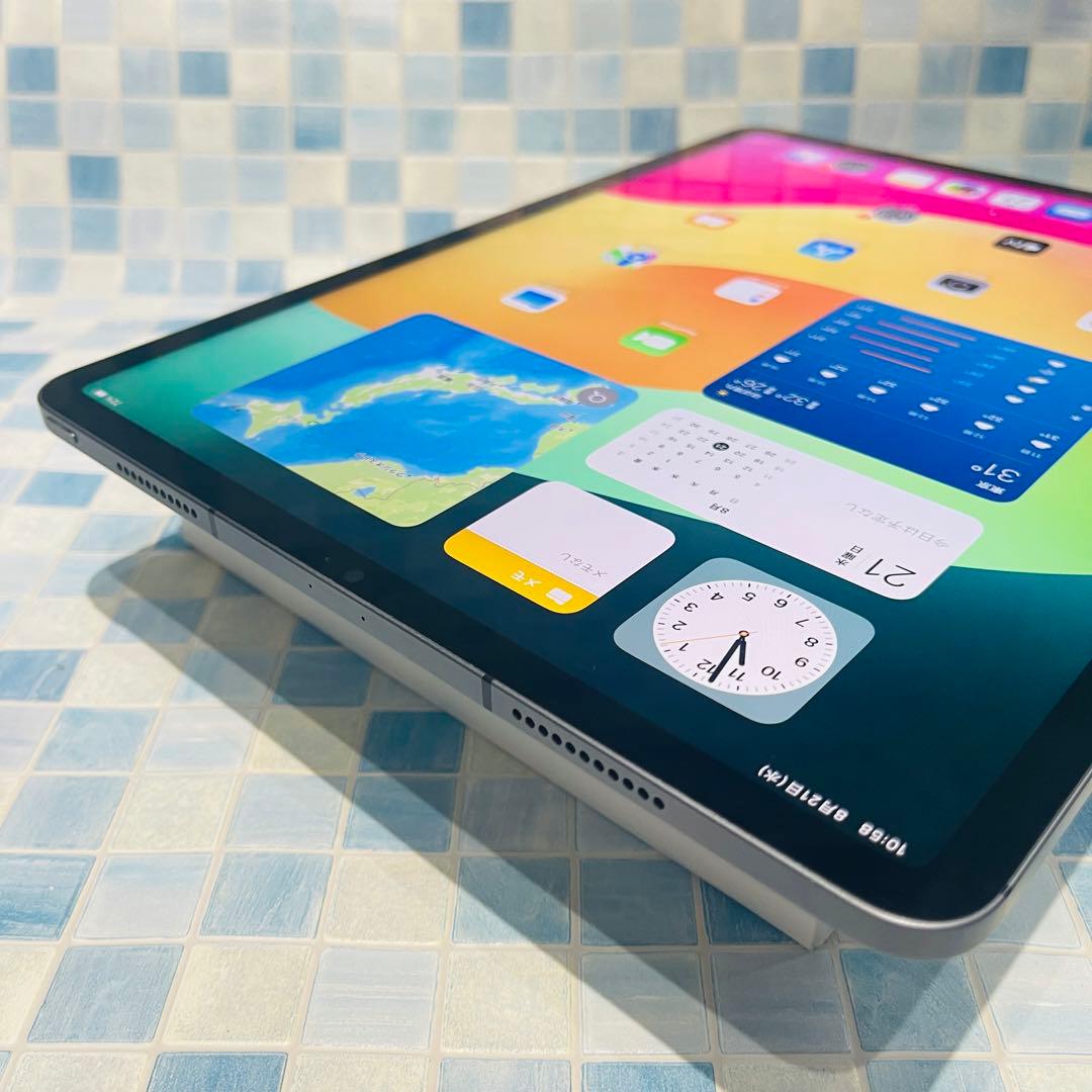 Wi-Fi iPad Pro 12.9 第5世代 本体 128GB グレイ