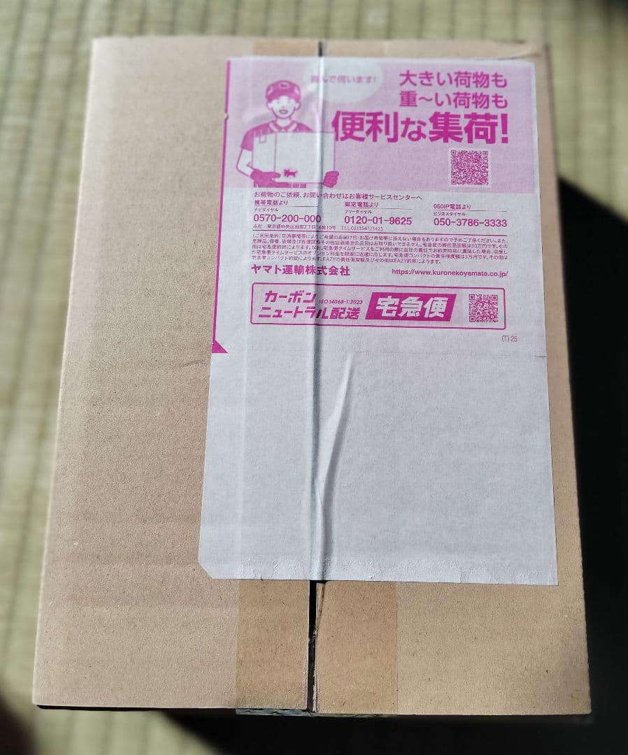ポケモンカードゲーム MEGA 拡張パック ニンジャスピナー　2BOX