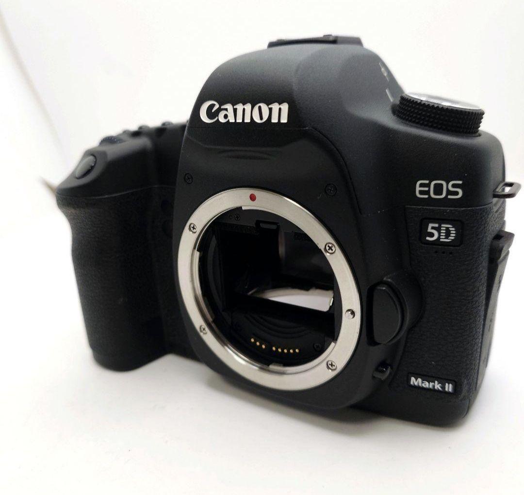 極美品/Canon EOS 5d mark Ⅱレンズセット EF 24-105