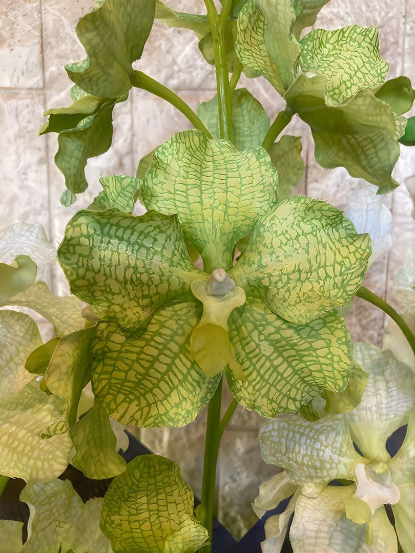 光触媒　人工観葉植物　フェイクグリーン　胡蝶蘭　パンダオーキッド8760
