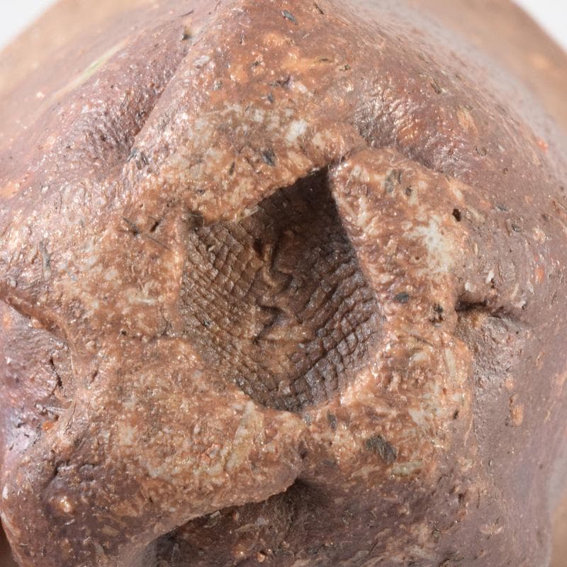 萬古焼　紫光窯　林光作　酒盃揃　ぐい呑　六客　共布共箱　N　7406