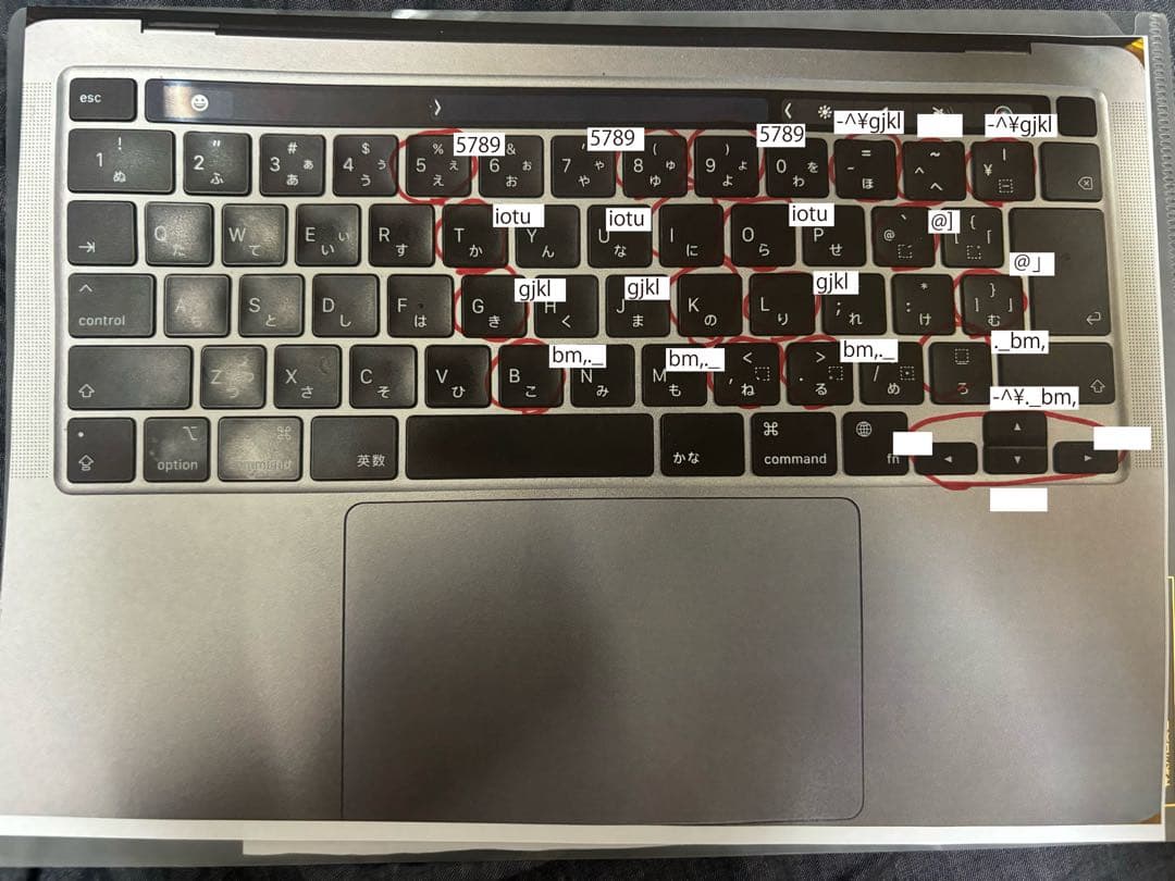 MacBook本体 Apple MacBook Pro (13-inch, M2, 2022)