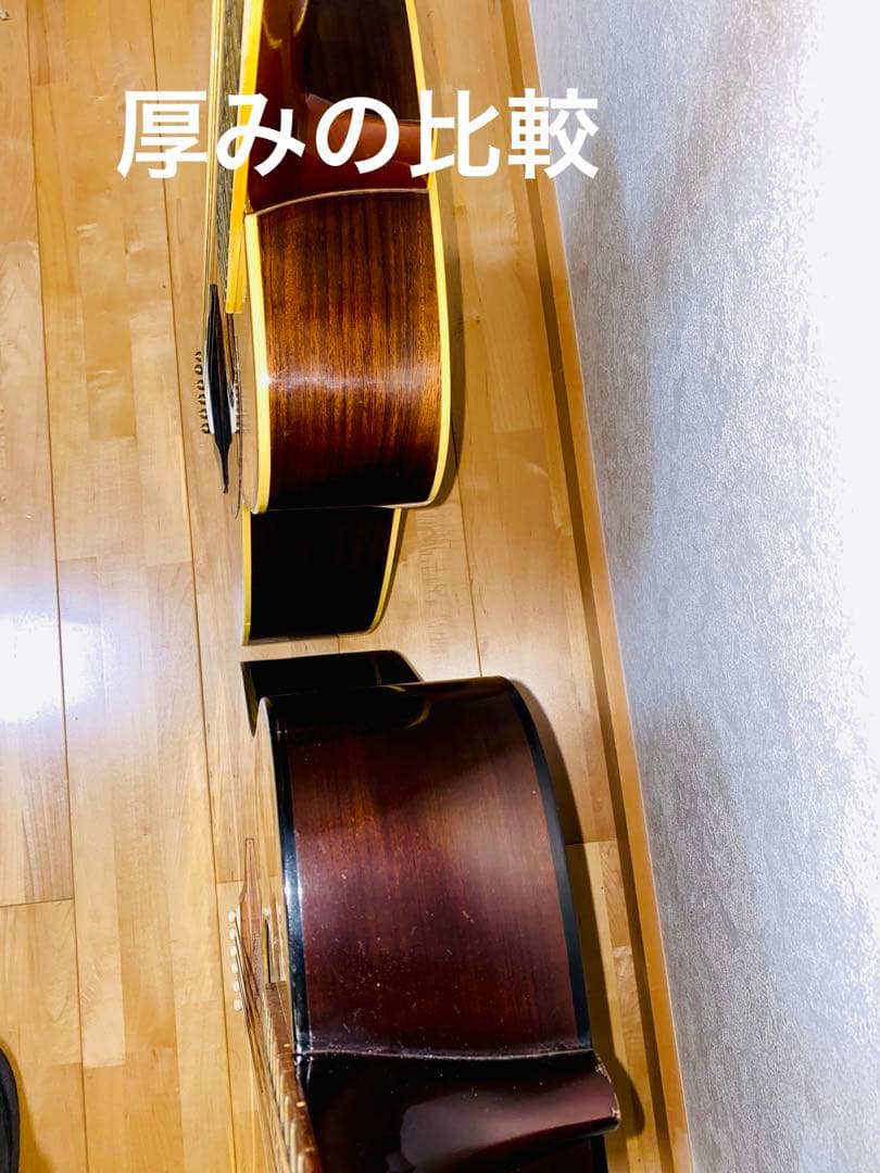 Morris F25 小ぶり、調整クリーニング済ジャパンビンテージ