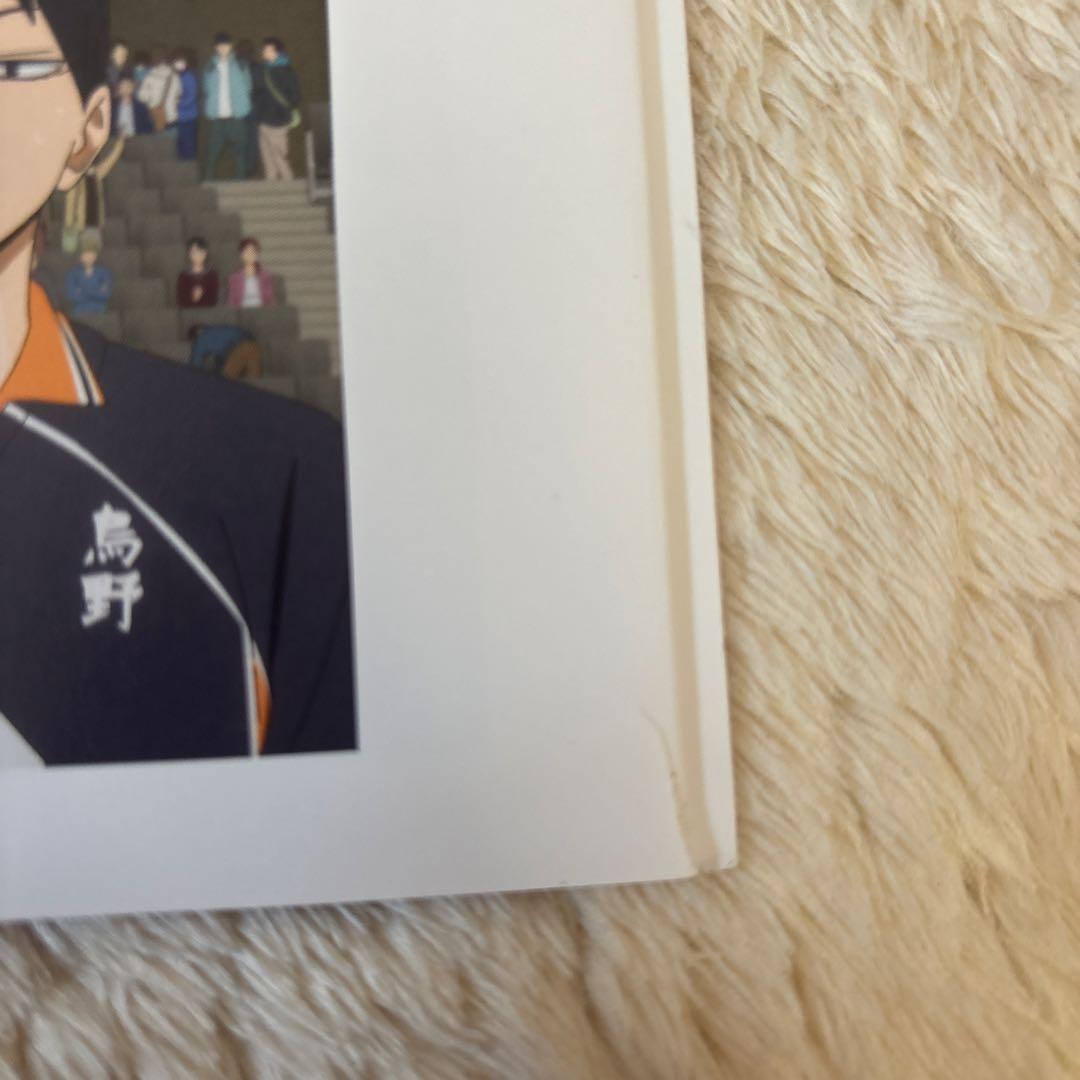 ハイキュー　ゴミ捨て場の決戦とアニメ