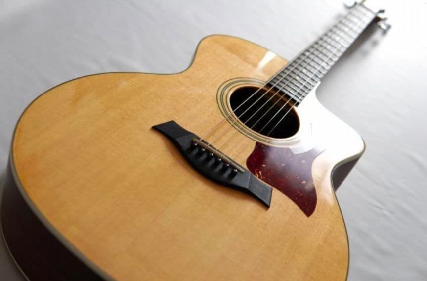 Taylor 214ce　ES2