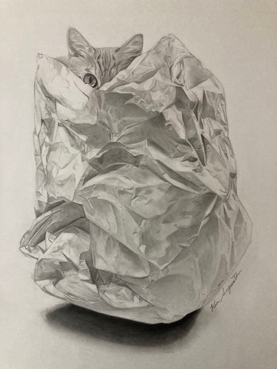値下げしました！オリジナルのペットの鉛筆画