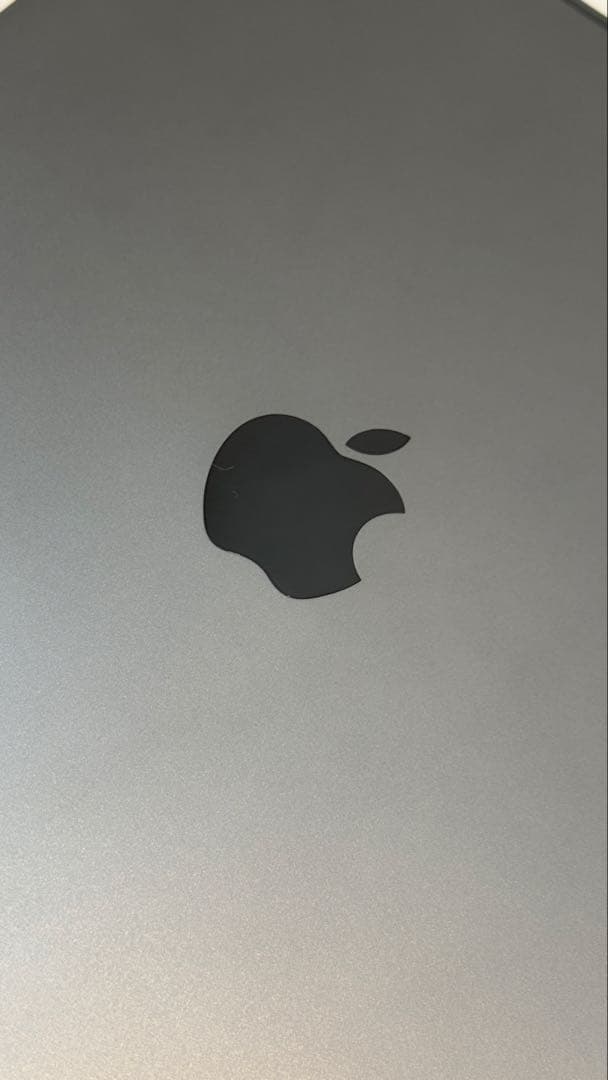 iPad Pro 11インチ 512GB スペースグレー(第2世代)本体