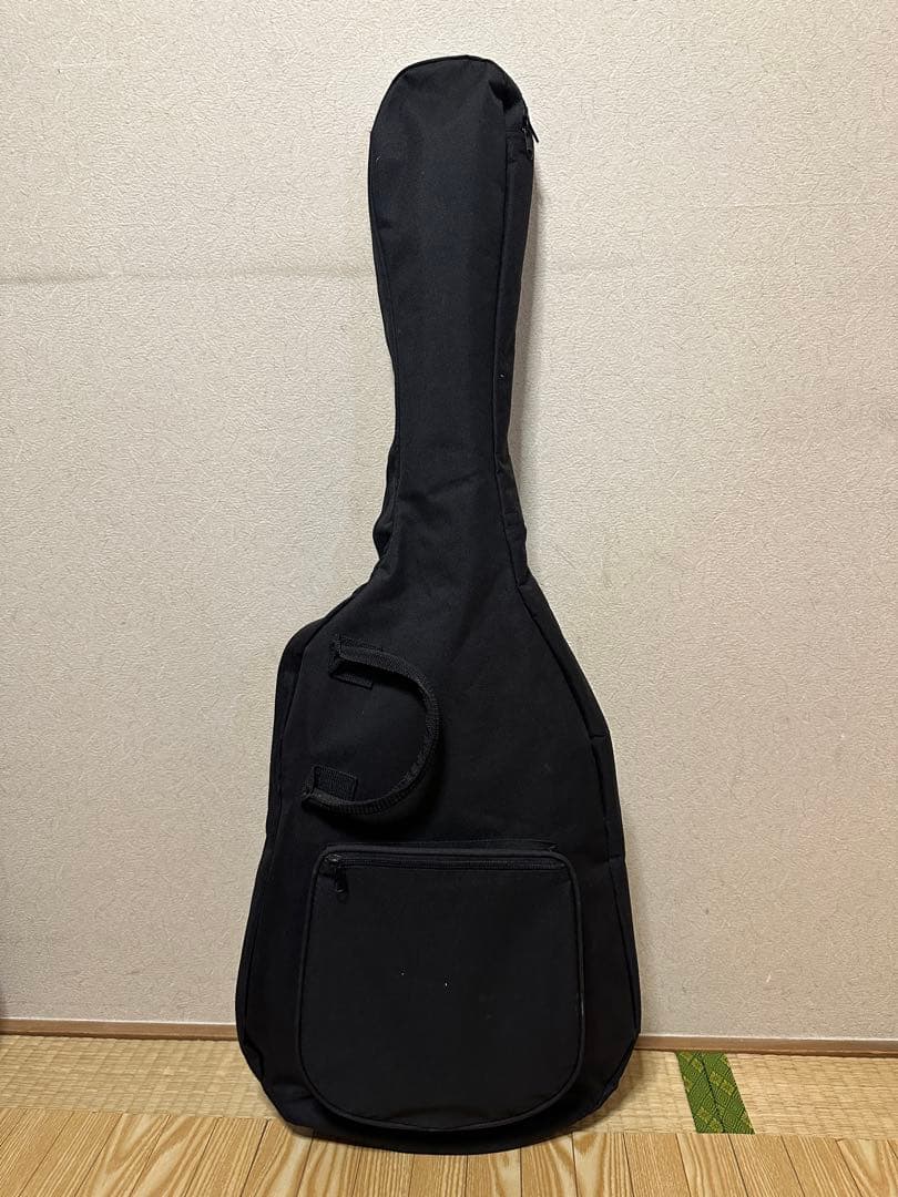 Burny レスポールタイプ エレキギター