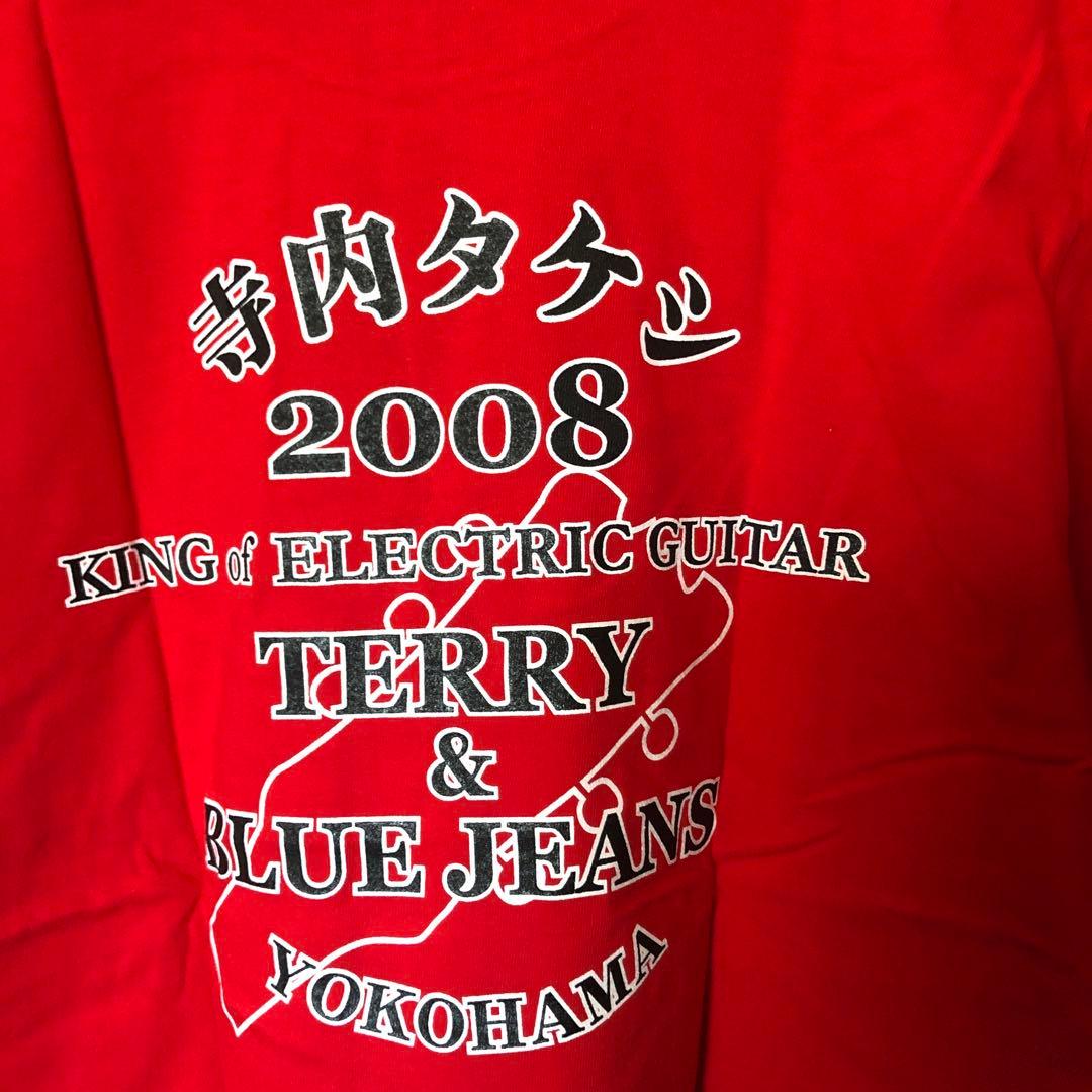 Terry&blue jeans(記念ピック)+寺内関連ピック激レア品
