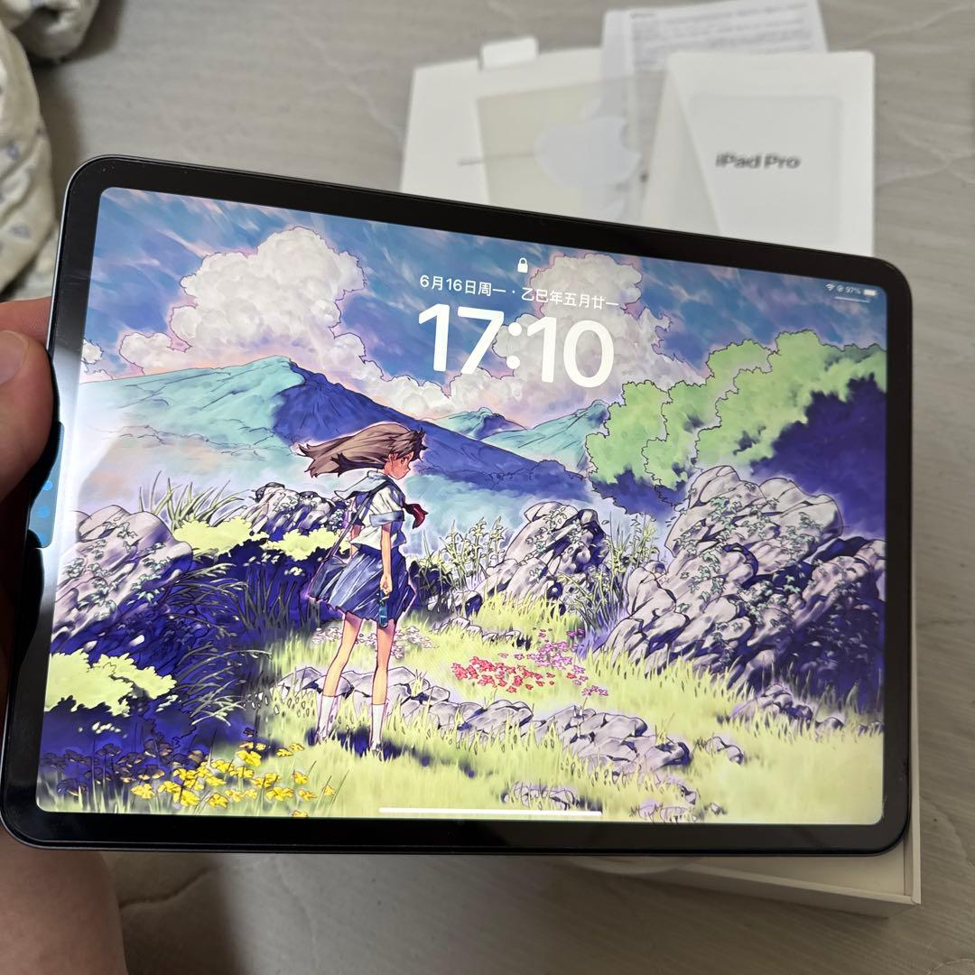 Apple iPad Pro 11 第2世代 Wifi 512GB