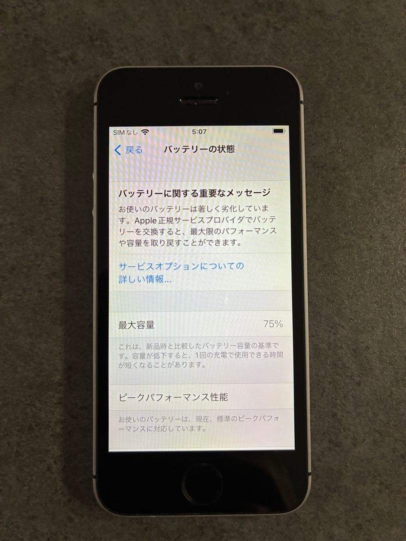 iPhone SE 第1世代 (128GB/スペースグレイ)