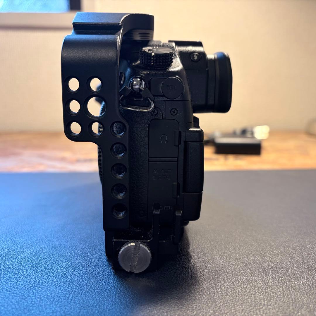 Panasonic LUMIX GH4本体 SmallRigケージ付 おまけ多数