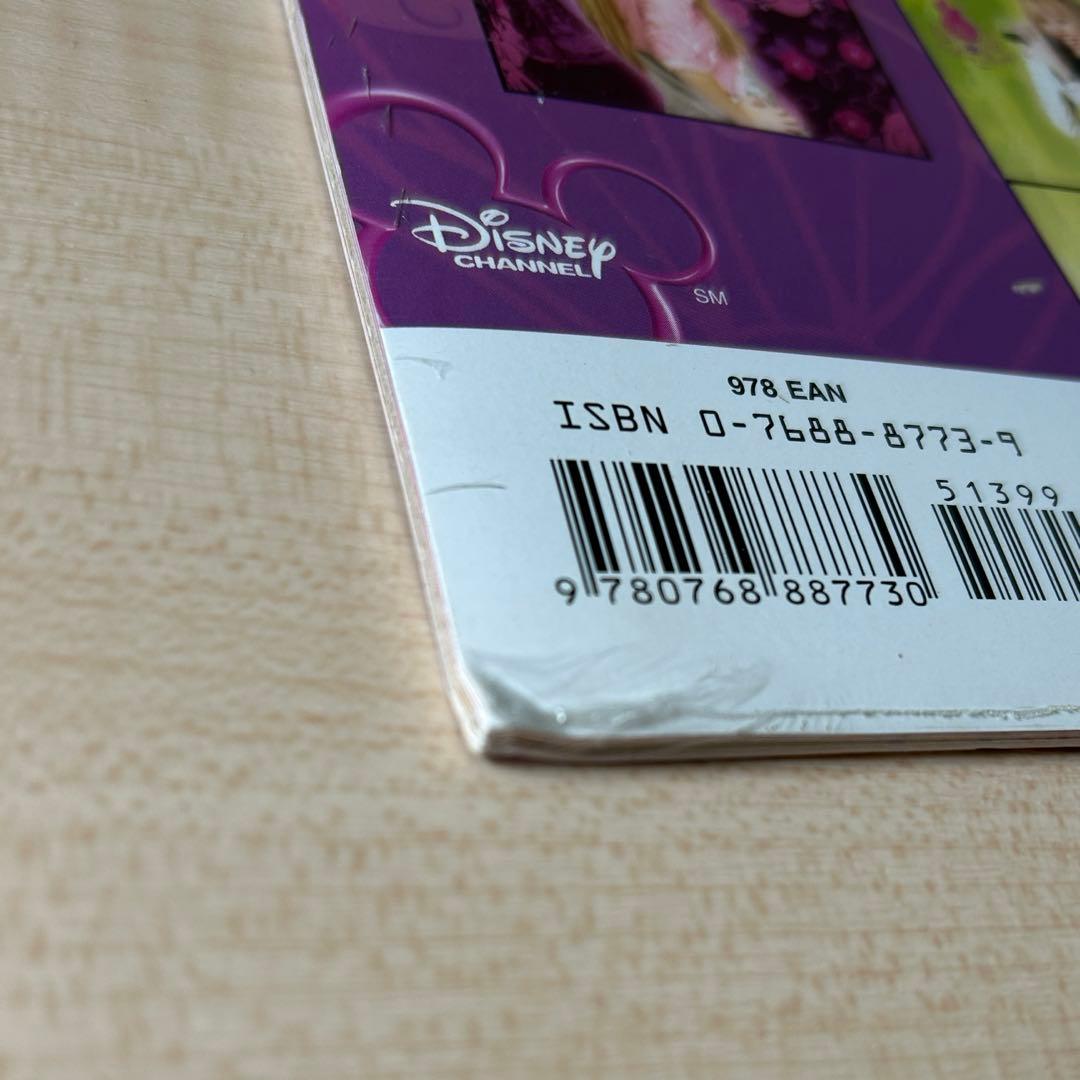 【新品未開封】ハンナモンタナ　2009カレンダー　レア