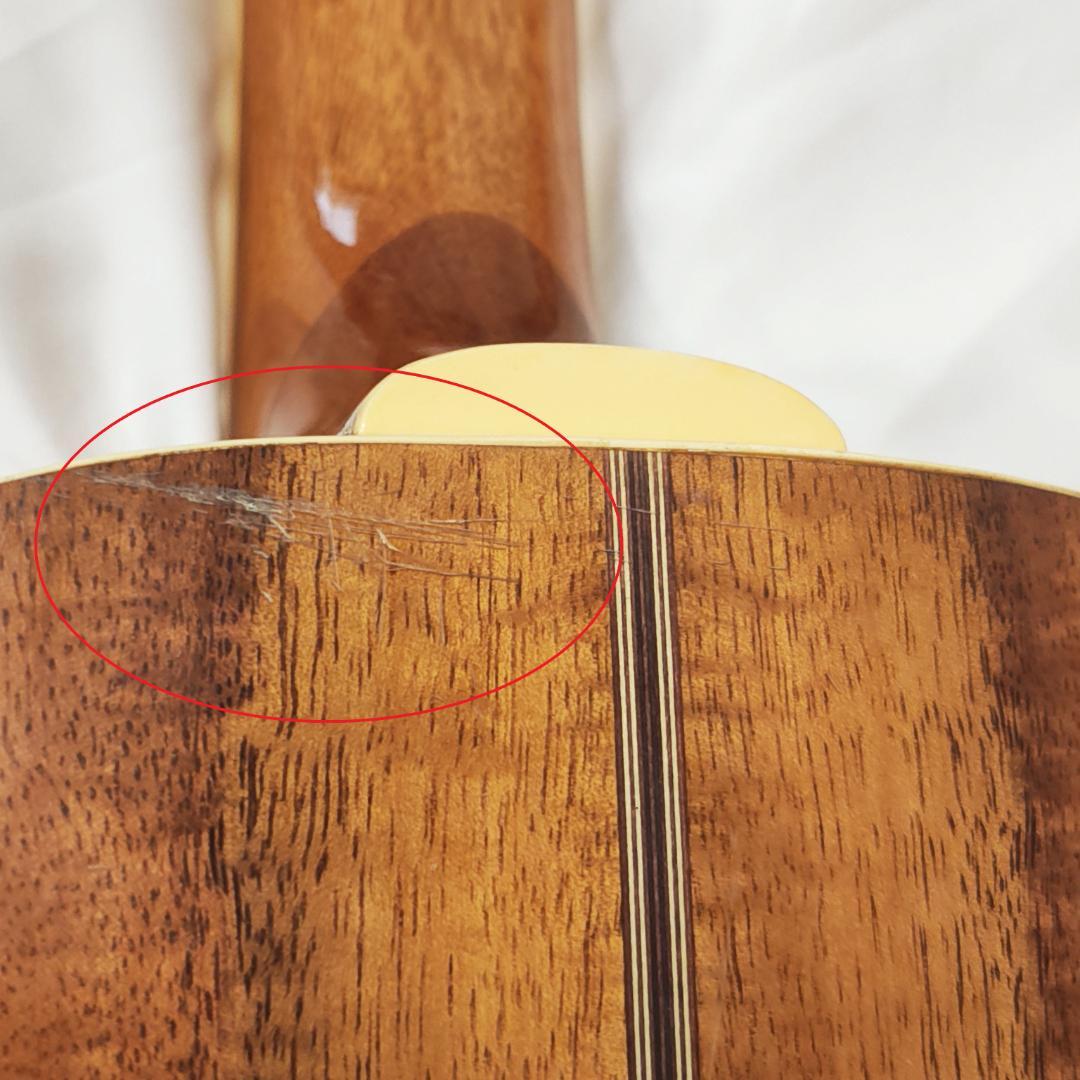 希少1983年製FENDER JAPAN Catalina フェンダー カタリナ