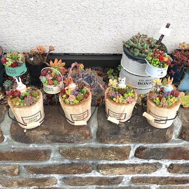 ★多肉植物　寄せ植え〜木樽　ねこちゃん〜そのまま飾れます(*≧∀≦*)★