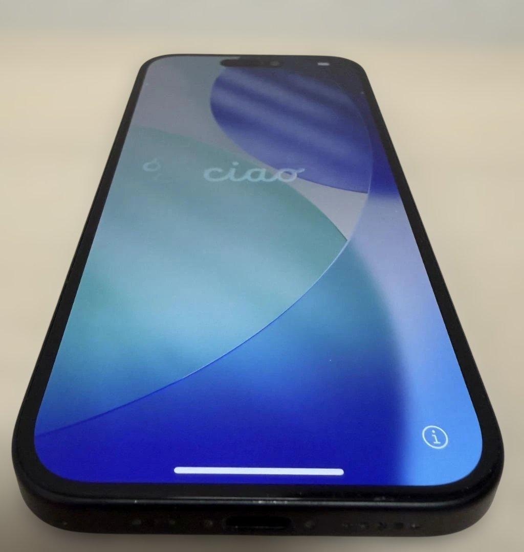 美品★Apple iPhone 15黒256GB香港版SIMフリー物理SIMx2