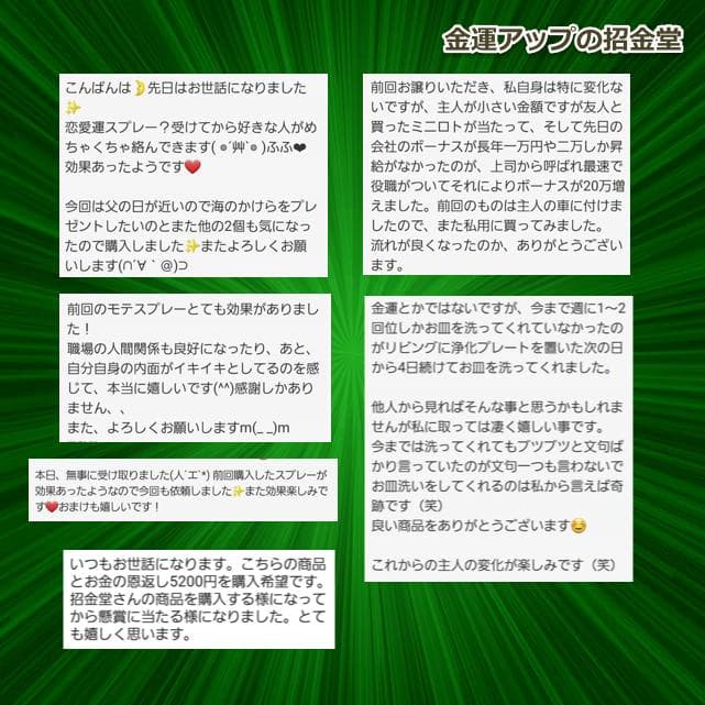 純金貼り【超強力】大金運布袋尊オルゴナイト×浄化スプレー×金馬　同梱値引き適用