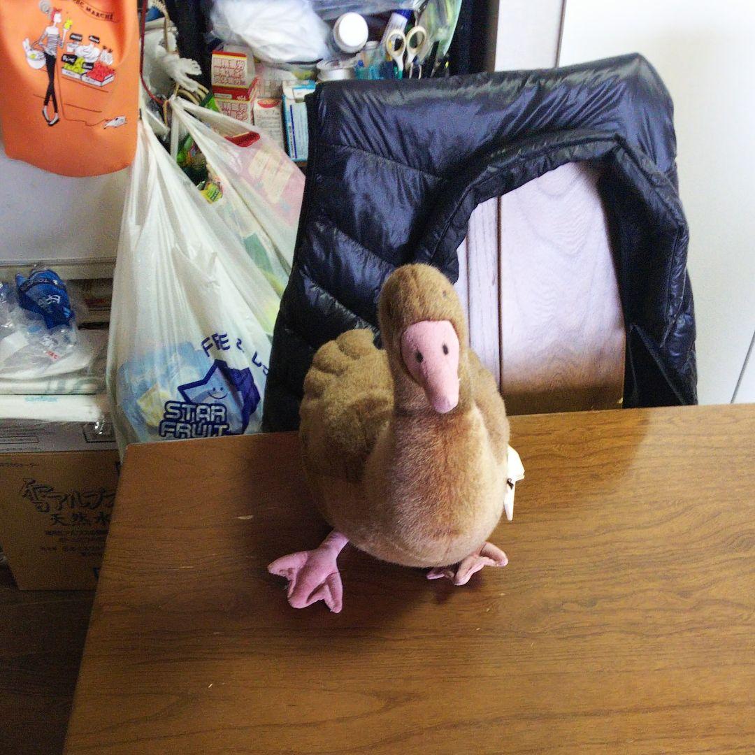 ガチョウぬいぐるみ