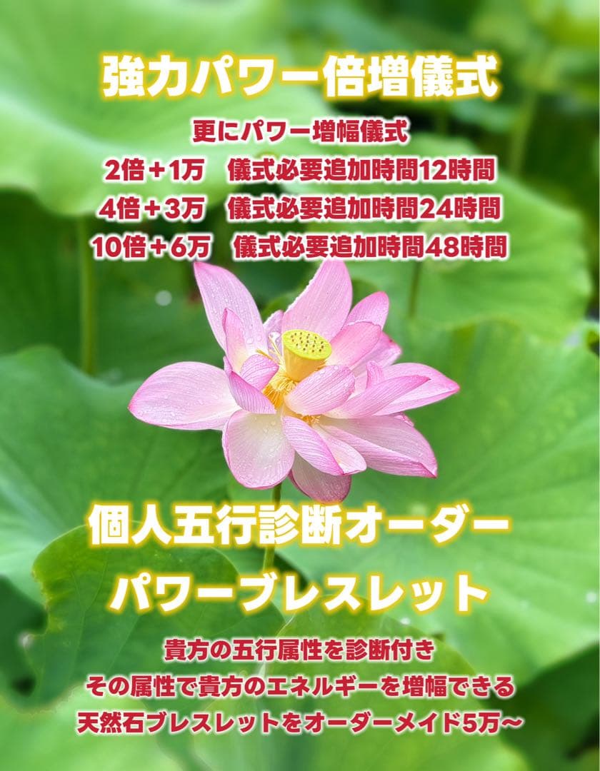 神力実感！最強神道術式かけ！癒しパワーストレス緩和 【超レア】天使の羽アメジスト