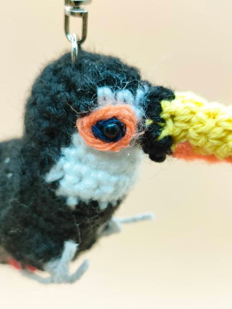ぴぴたんママ　オニオオハシ、アオボウシ、オオバタン、コンゴウインコ