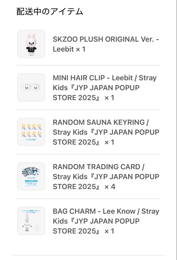 straykids リノ　グッズ　リービット