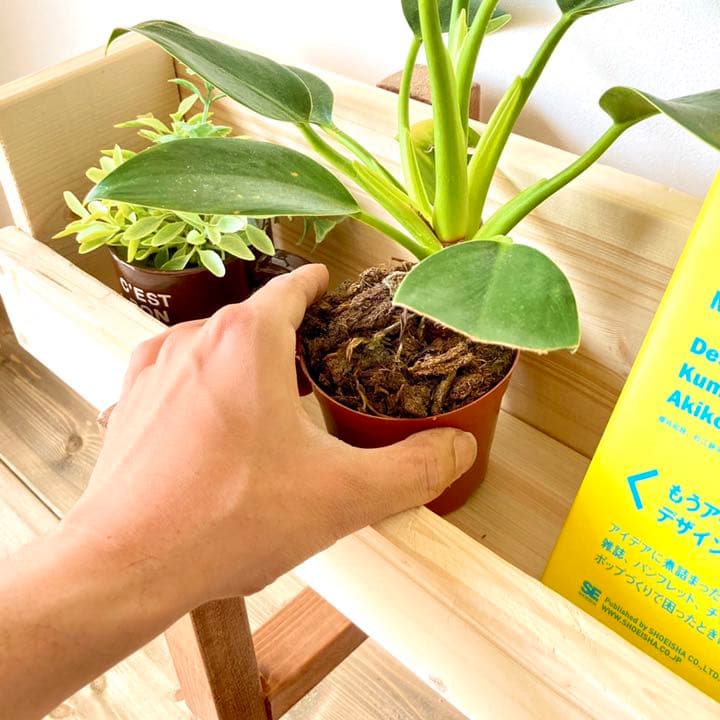 プランター　おしゃれ　木製　フラワーラック　ガーデニング　植木鉢　観葉植物　野菜