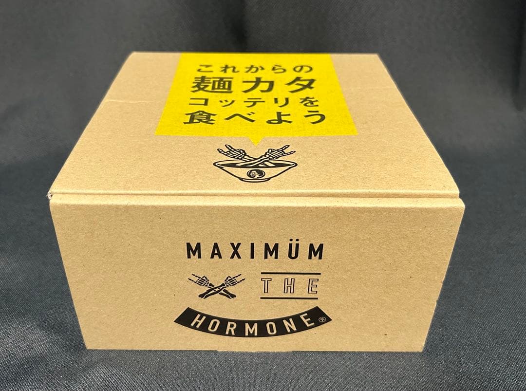 マキシマムザホルモン 麺カタコッテリをたべよう どんぶり ビレバン　丼
