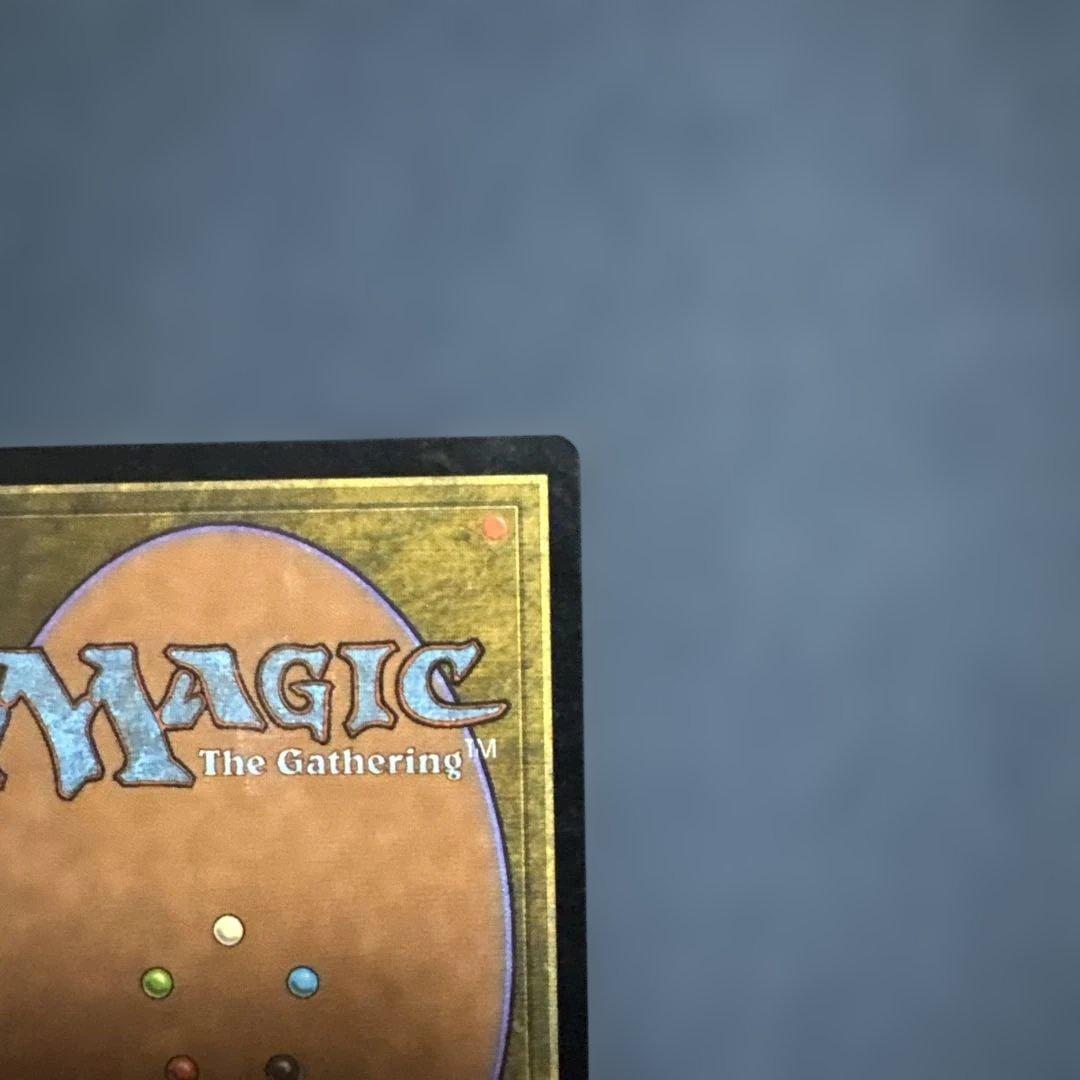 MTG 補充　日本語版２枚セット