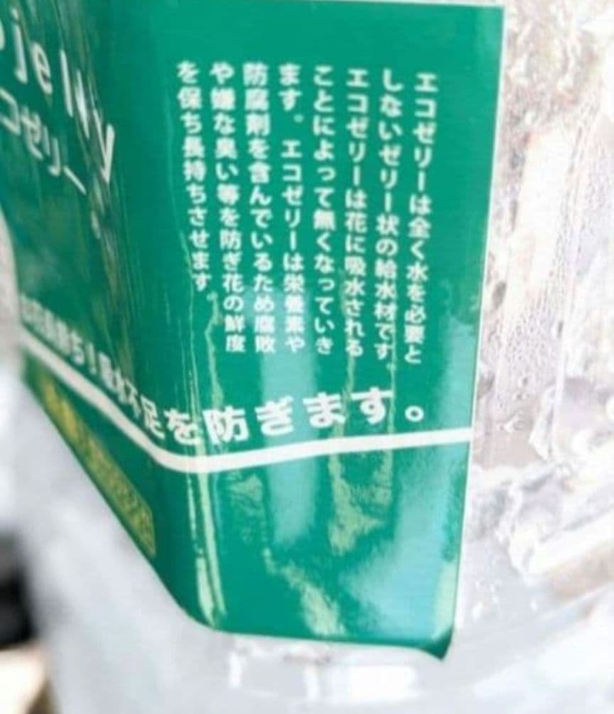 みあり様　ラナンキュラス　サクラコ　切り花20本　✨新鮮なうちにどうぞ✨