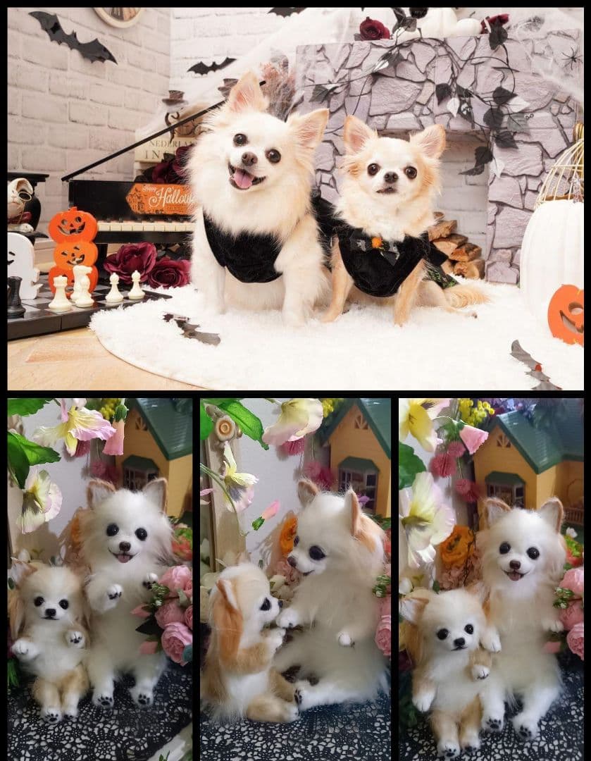 オーダー受付中♥️  チワワ　犬　ペットロス　実物大　ぬいぐるみ　カズコオガワ