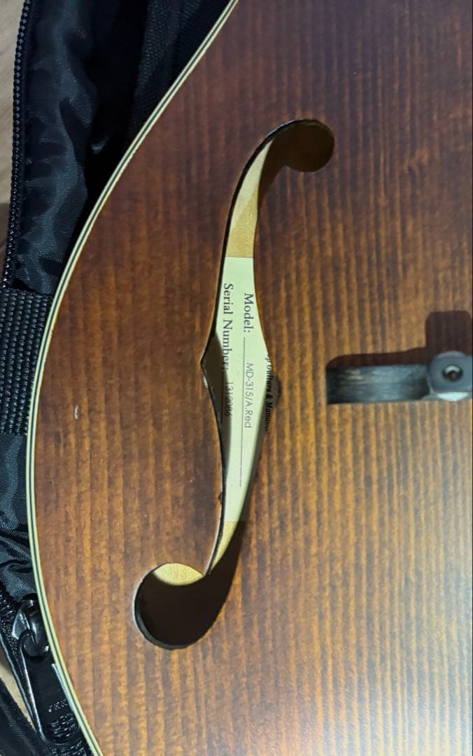 Eastman マンドリン md-315 ケース　スタンド　レザーストラップ付き