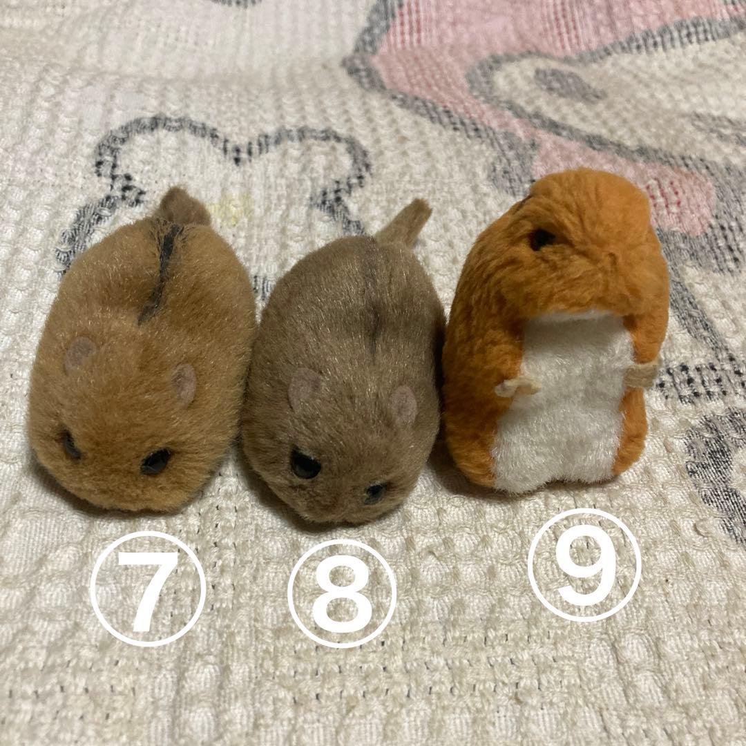 やまね工房　ぬいぐるみ　11コセット　中古品　落合けいこ
