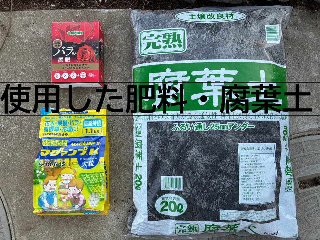 鉢植えバラ【ルイーズ オディエ】オールドローズ