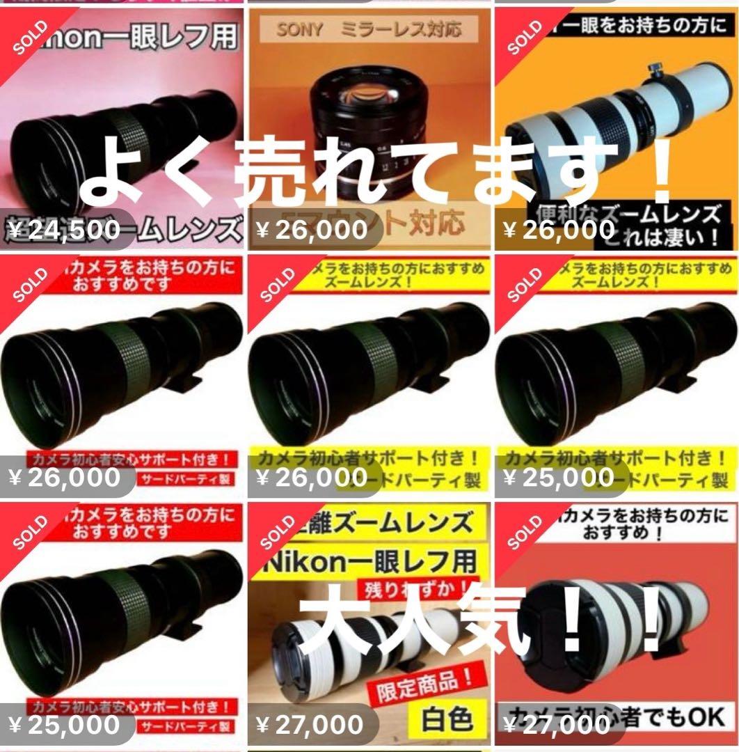 ママさんパパさん初心者OK！おすすめズームレンズ！CanonEOSR便利な袋付き