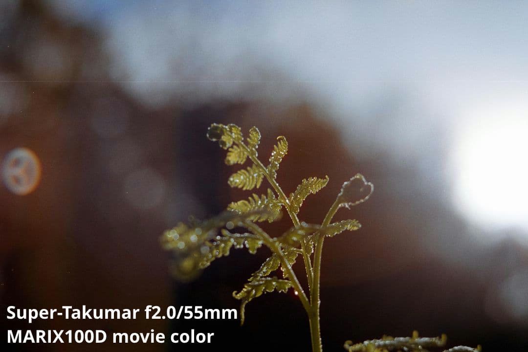 ASAHI PENTAX SV セット（試写あり）