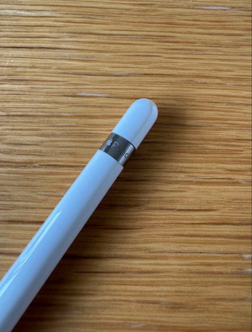 iPad mini 5 Wi-Fi 256GB＋Apple Pencilセット