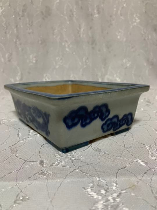 中国鉢　絵鉢
